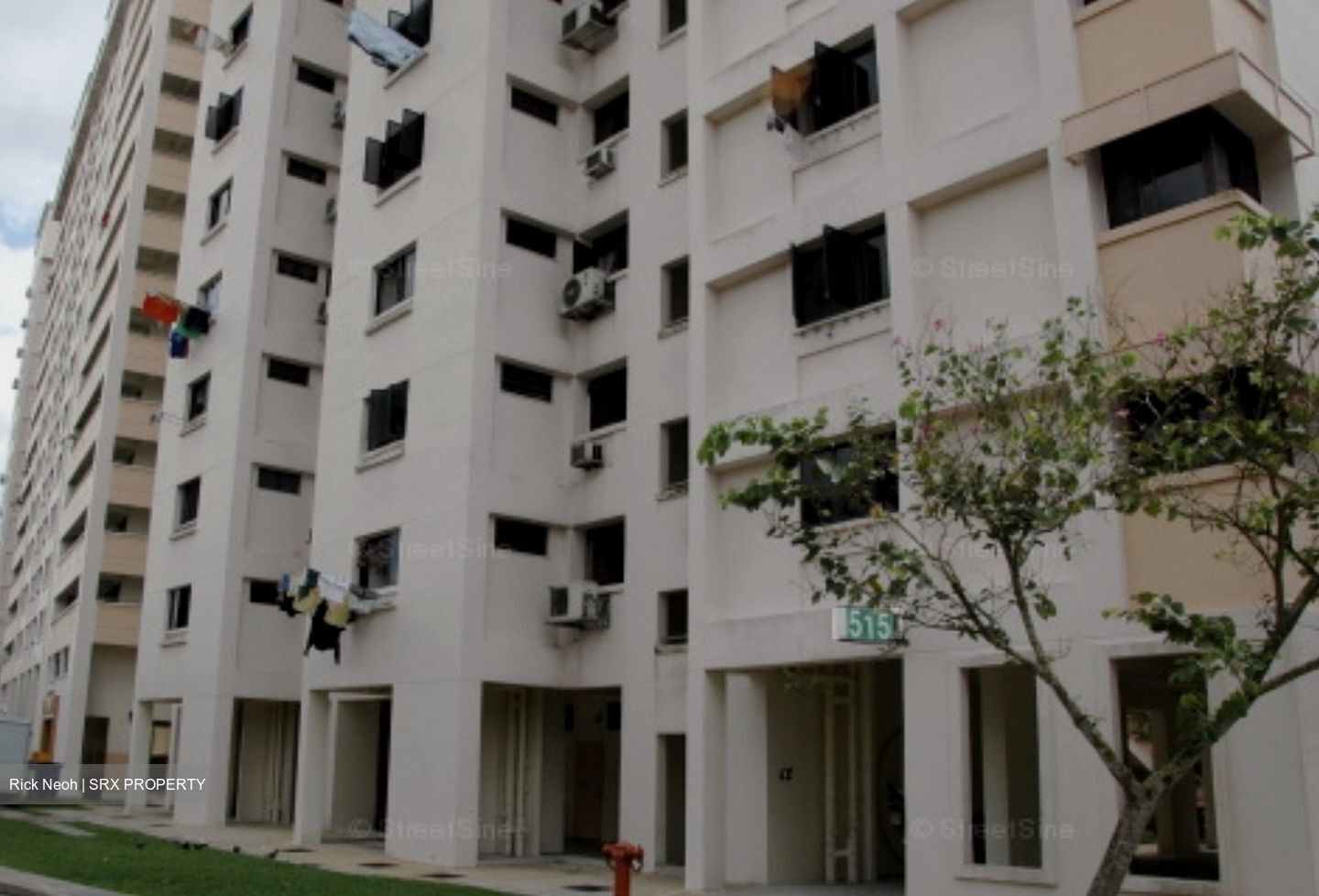 Blk 515 Pangshan Valley (Bukit Panjang), HDB 4 Rooms #574206391